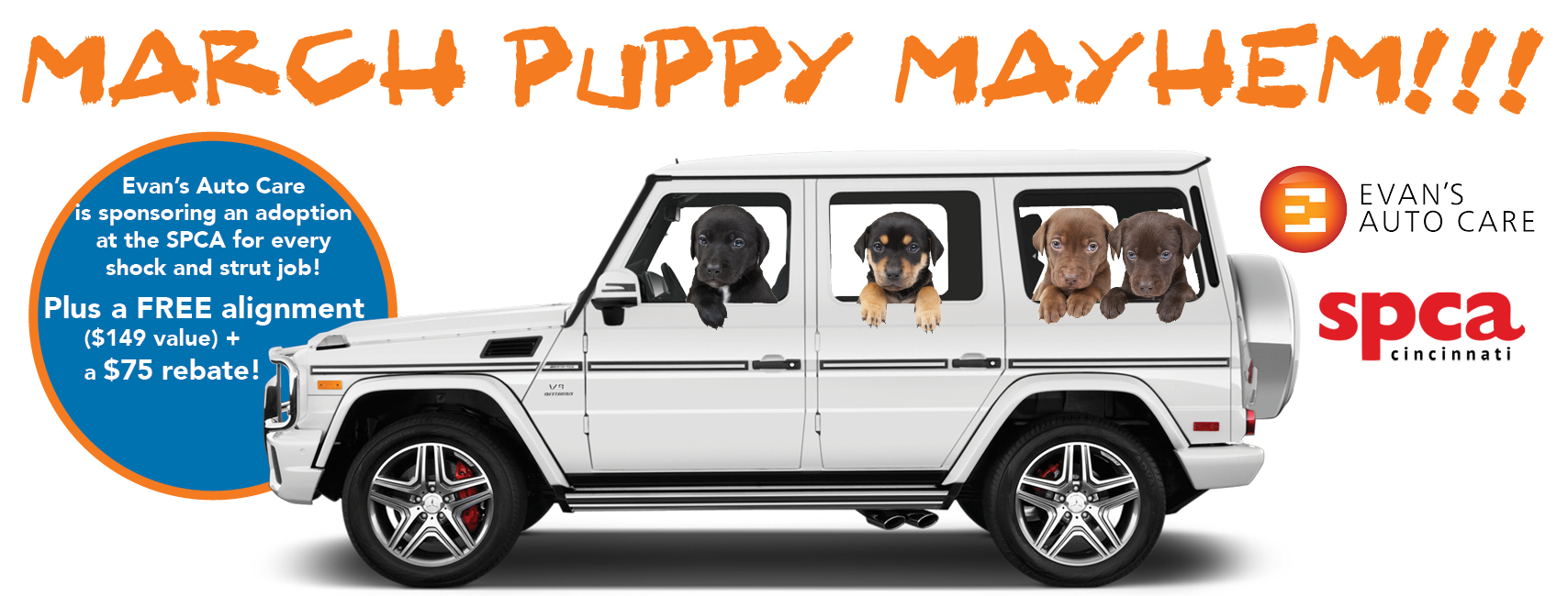 March Puppy Mayhem
